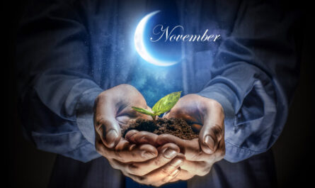 Mondkalender des Gärtners und Gärtners für November 2020-Pflege