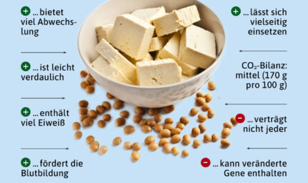 Nützliche und gefährliche Eigenschaften von Tofu, Kalorien, Nutzen und Schaden, Nützliche Eigenschaften