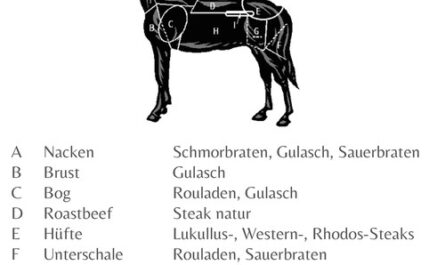 Pferdefleisch, Kalorien, Nutzen und Schaden, Nützliche Eigenschaften