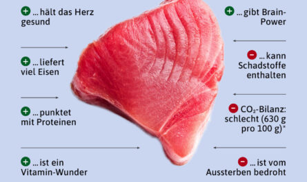 Thunfisch, Kalorien, Nutzen und Schaden, Nützliche Eigenschaften