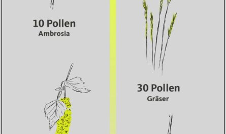 Über die Vorteile und Gefahren von Pollen