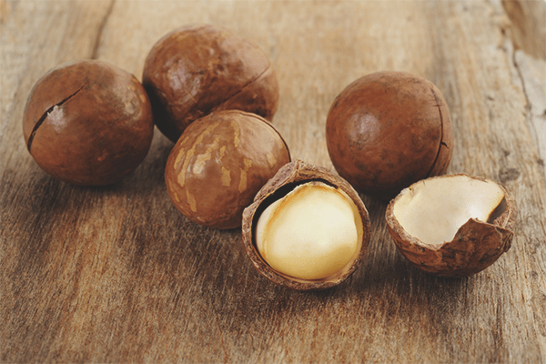 Macadamia, Θερμίδες, οφέλη και βλάβες, Χρήσιμες ιδιότητες –