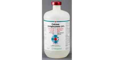 Calcium Borgluconate for Broilers