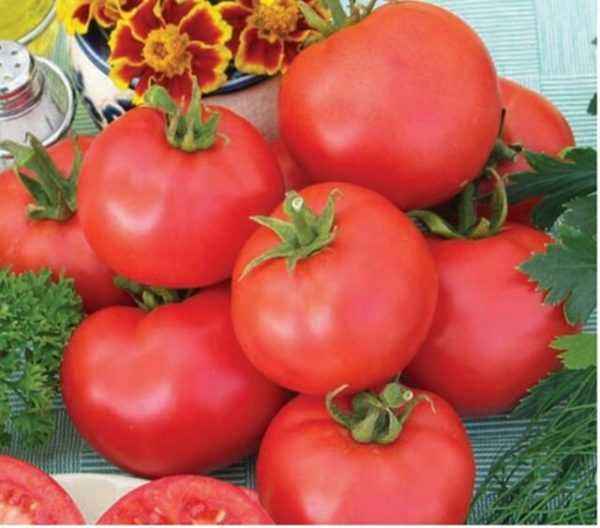 Characteristics and description of the tomato variety Dar Zavolzhye