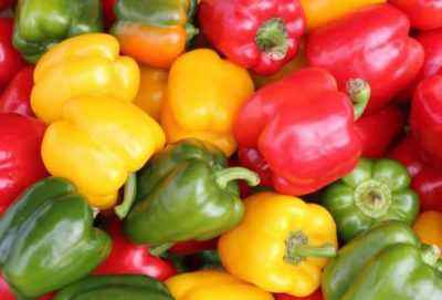 Characteristics of bell pepper