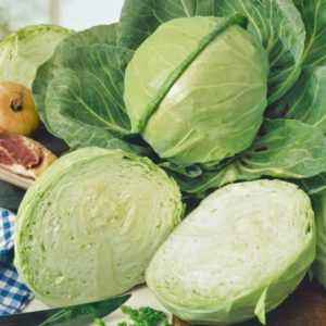Characteristics of Golden Hectare Cabbage