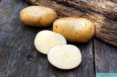 Characteristics of Karatop potatoes