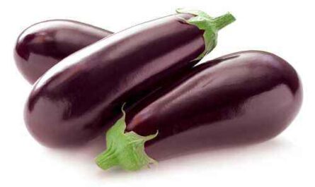 Characteristics of Marzipan Eggplant
