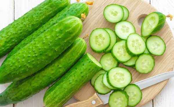 Characteristics of Perenta cucumbers