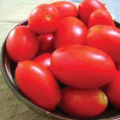 Characteristics of Rio Grande Tomato