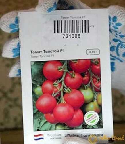 Characteristics of tomato Tolstoy