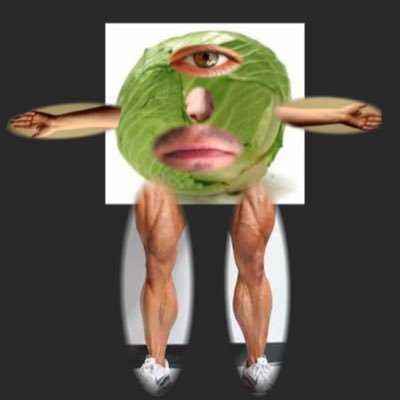Description of cabbage cyclops