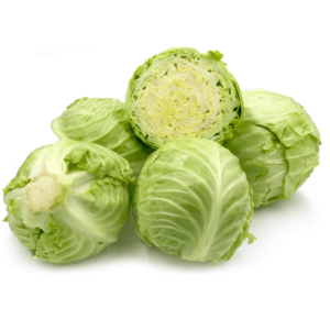 Description of cabbage Hope