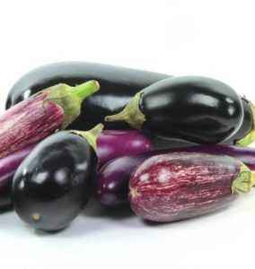 Description of eggplant varieties Prince