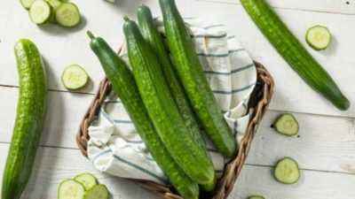 Description of fruit varieties of cucumbers