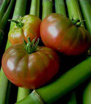 Description of Mikado Black tomatoes