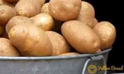 Description of potato Elizabeth