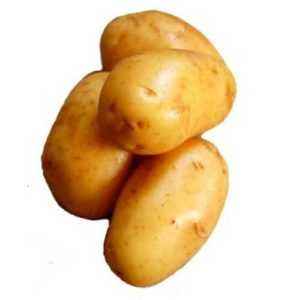 Description of Ragned Potato