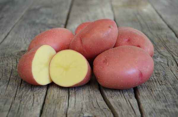 Description of Rosar Potatoes