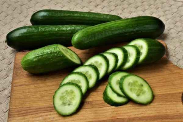 Description of the variety of cucumbers Athlete