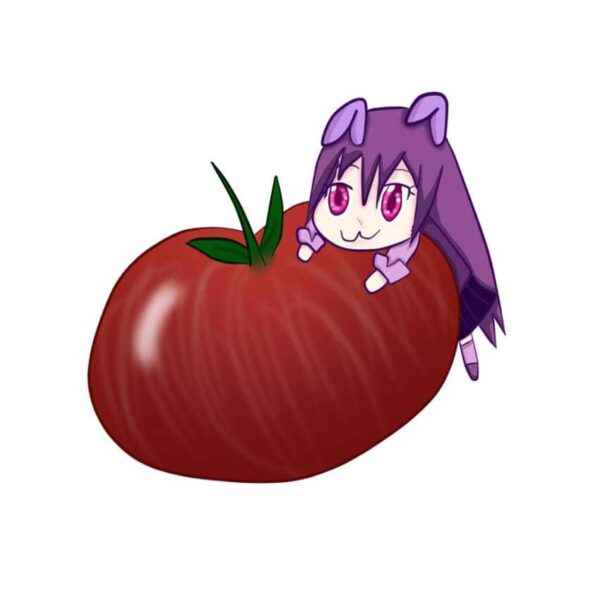 Description of tomato Chibis