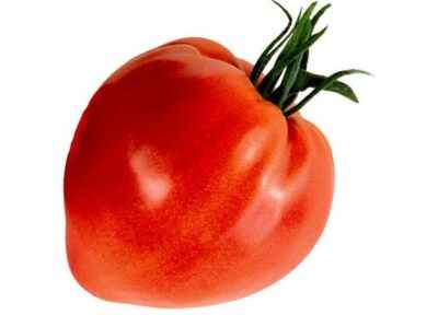 Description of tomato Classic