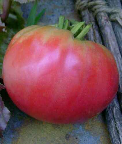 Description of tomato Raspberry Giant