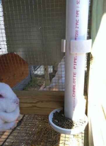 Do it  yourself rabbit feeders