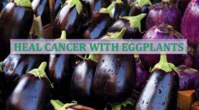 Existing eggplant diseases and their treatment