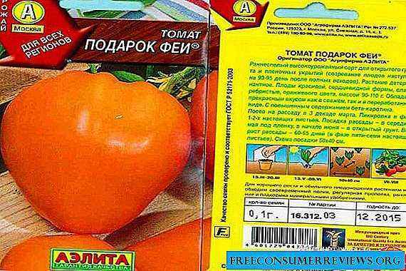 Fairy Gift Tomato Characteristics