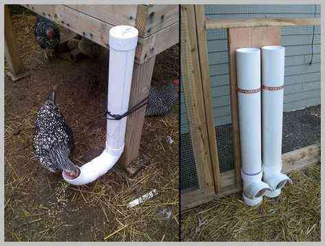 How to make a chicken feeder from a sewer pipe