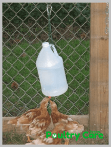 How to make a do-it-yourself drinker for chickens from a plastic bottle with your own hands