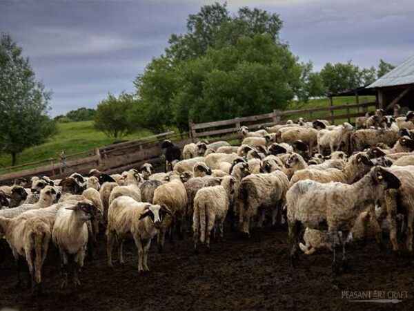 How to make a sheepfold