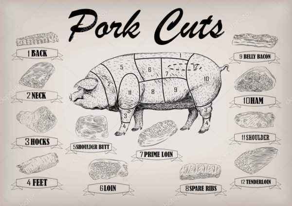 Pig or pig carcass cutting scheme