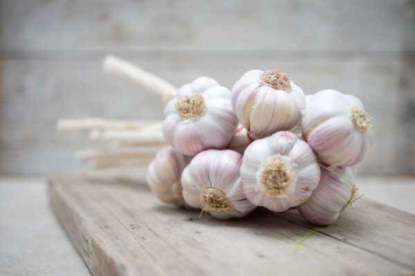 Rules for storing garlic in the winter at home