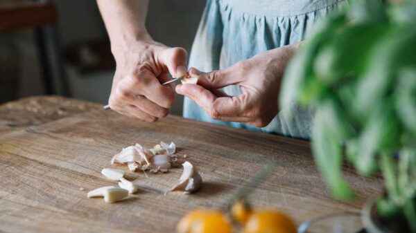 The benefits and harms of garlic for humans