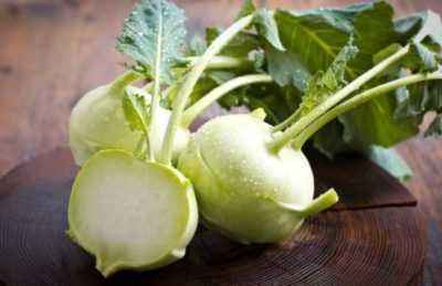 The benefits and harms of kohlrabi cabbage