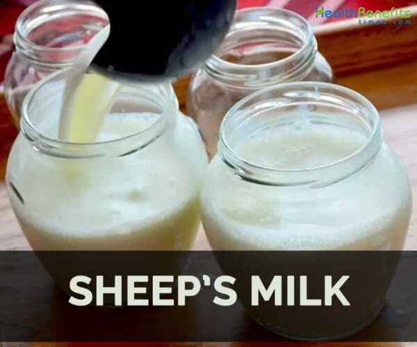 The benefits and harms of sheep’s milk