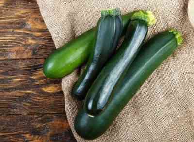 The best varieties of zucchini, or how to achieve the perfect harvest