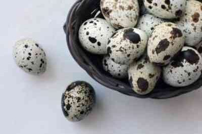 The usefulness and harm of quail eggs