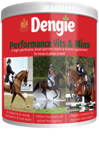 Vitamin and mineral supplements for horses