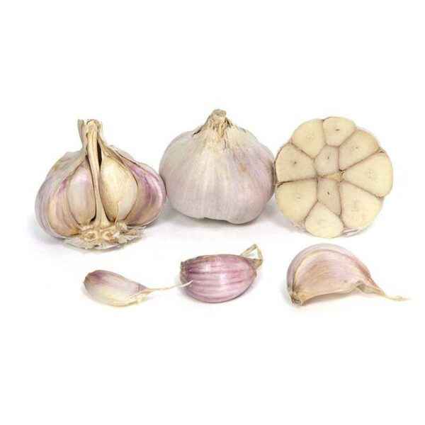 What herbicides to choose for garlic
