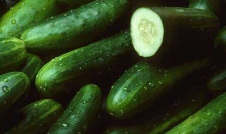 What vitamins are rich in cucumbers
