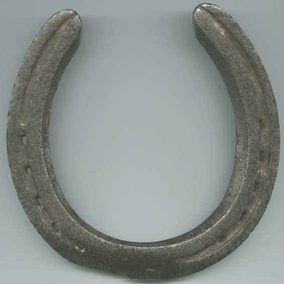 Why horseshoes