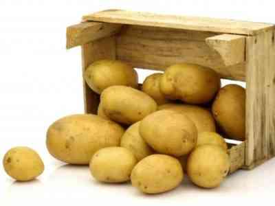 Хранение картофеля на балконе зимой