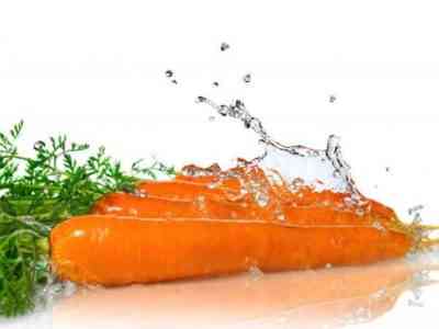 Особенности полива моркови после всходов