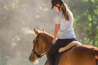 How to saddle a horse