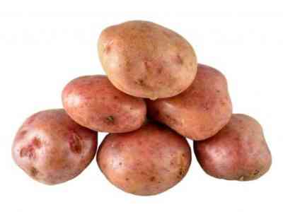 Описание картофеля Кураж