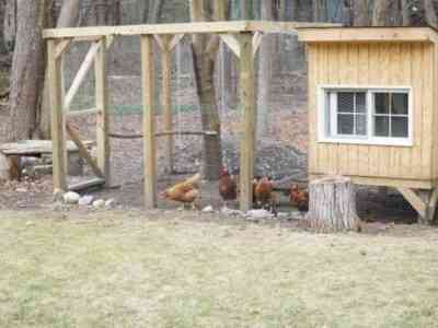 DIY chicken house construction
