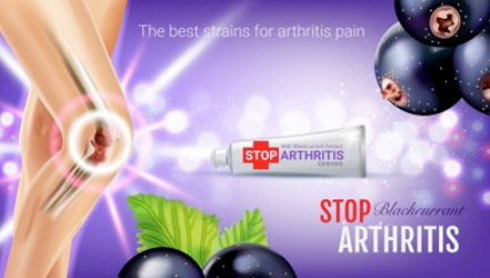Blackcurrant as a component of arthritis ointment